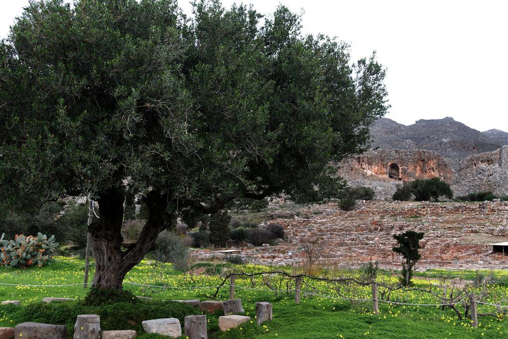 Villa Kalliopi Ιncreteble Cretan Resindences Collection Xerokampos  Exteriör bild