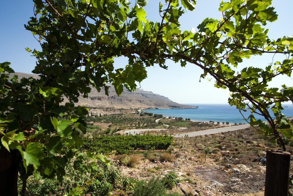 Villa Kalliopi Ιncreteble Cretan Resindences Collection Xerokampos  Exteriör bild