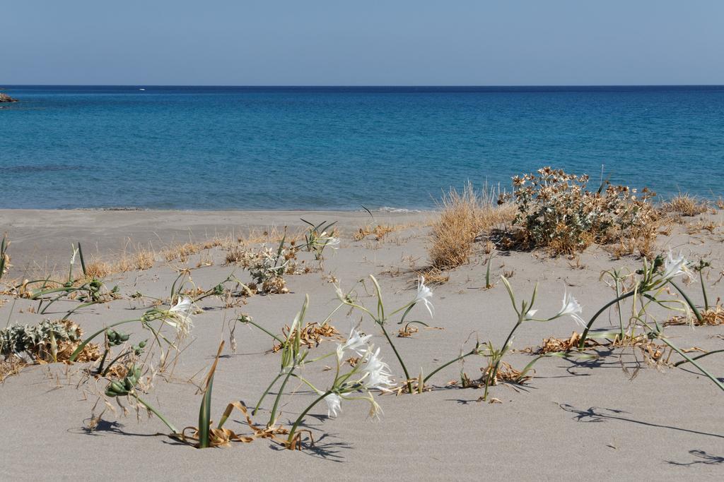 Villa Kalliopi Ιncreteble Cretan Resindences Collection Xerokampos  Exteriör bild