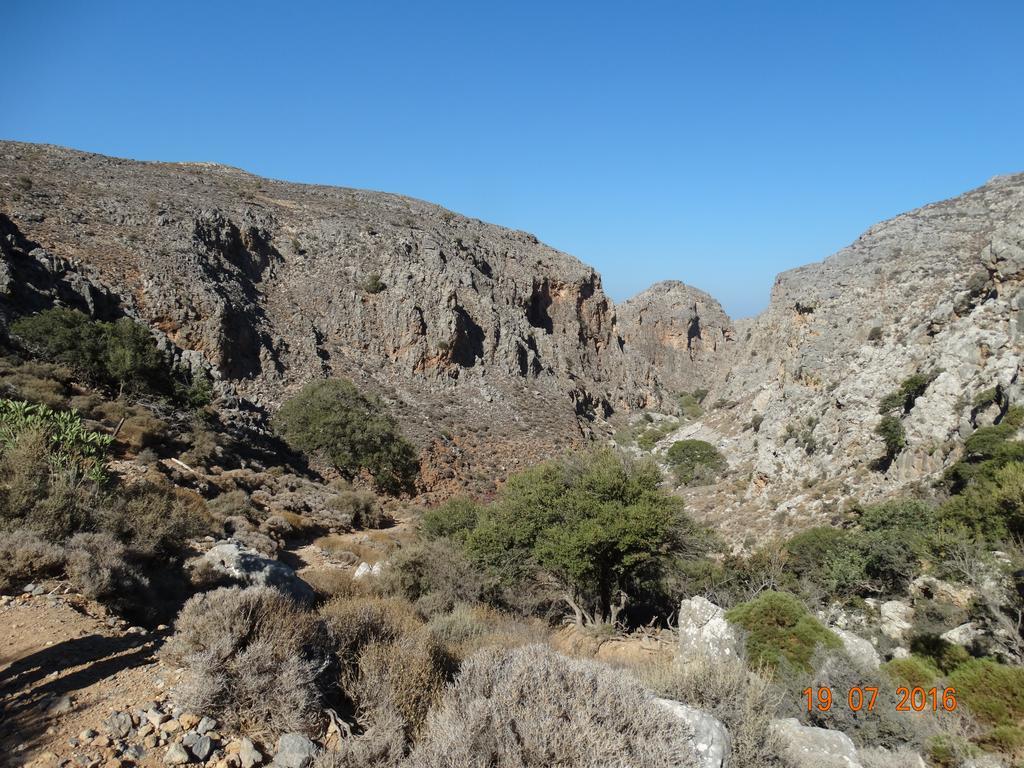 Villa Kalliopi Ιncreteble Cretan Resindences Collection Xerokampos  Exteriör bild