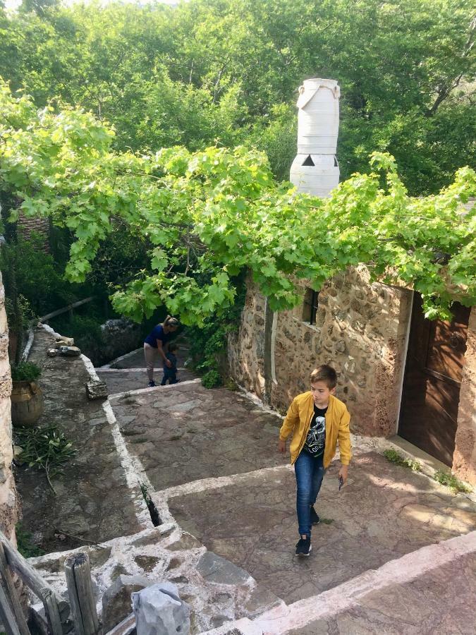 Villa Kalliopi Ιncreteble Cretan Resindences Collection Xerokampos  Exteriör bild