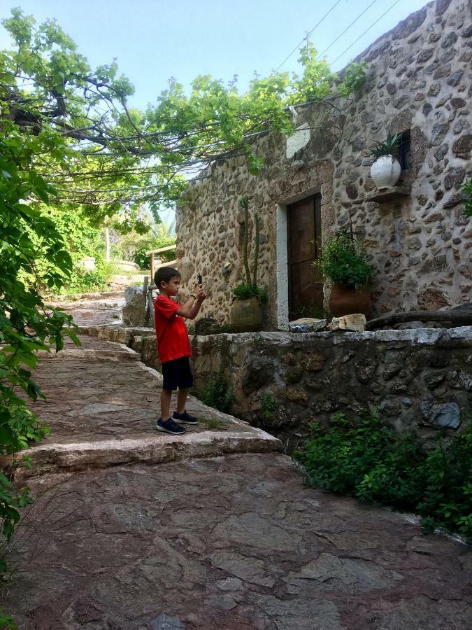 Villa Kalliopi Ιncreteble Cretan Resindences Collection Xerokampos  Exteriör bild