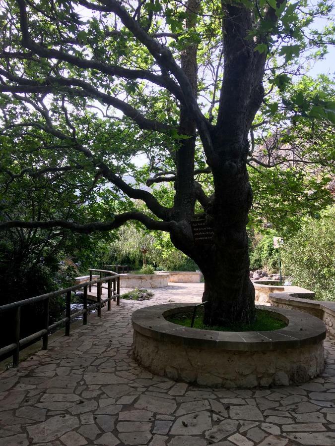 Villa Kalliopi Ιncreteble Cretan Resindences Collection Xerokampos  Exteriör bild